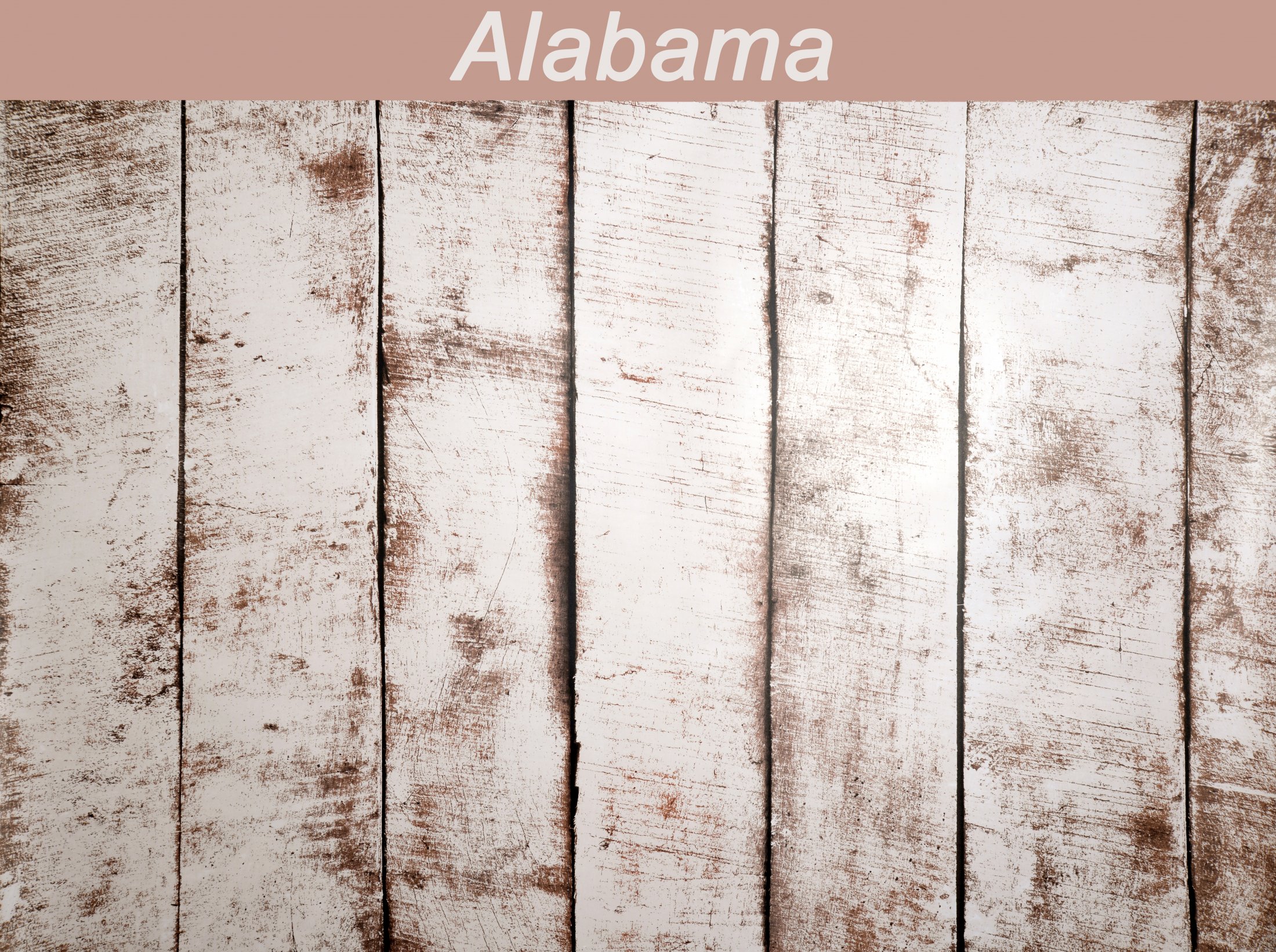 41 Alabama